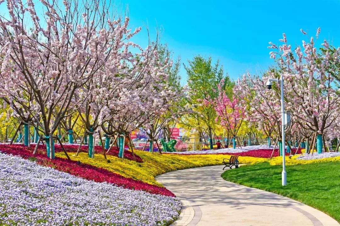 楼盘开售排队抢房火爆视频,楼市万人抢房是真的吗