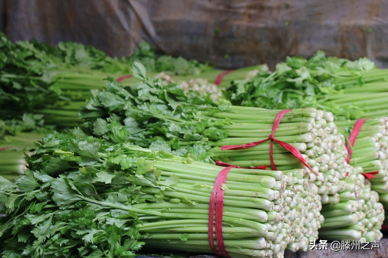 鲁华集团全面做好疫情防控和稳物价保供应工作