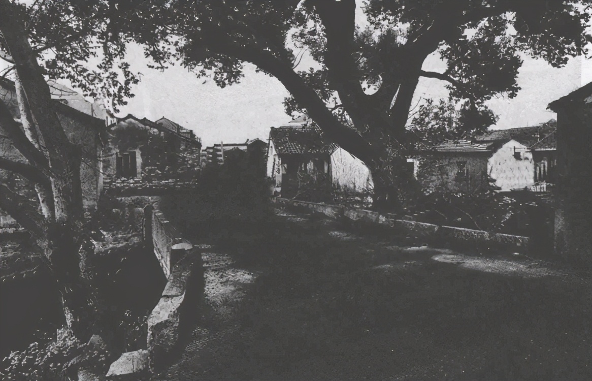 陈布雷陈琏的结局,陈布雷身边特工