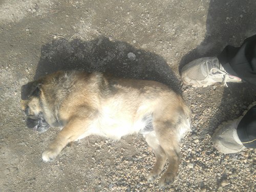 邻里矛盾担心被投毒,邻里小事引发吵架邻居事后死亡