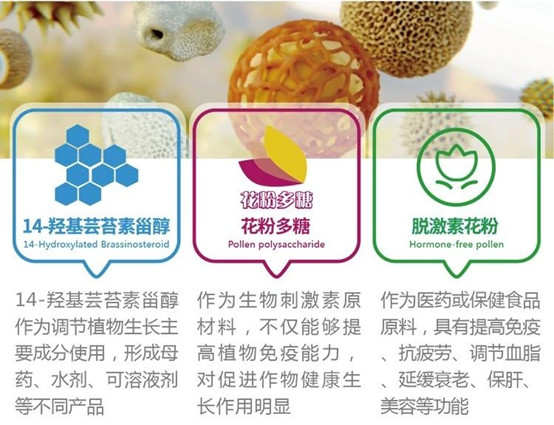 天然芸苔素和其他芸苔素的区别,什么含量的芸苔素好