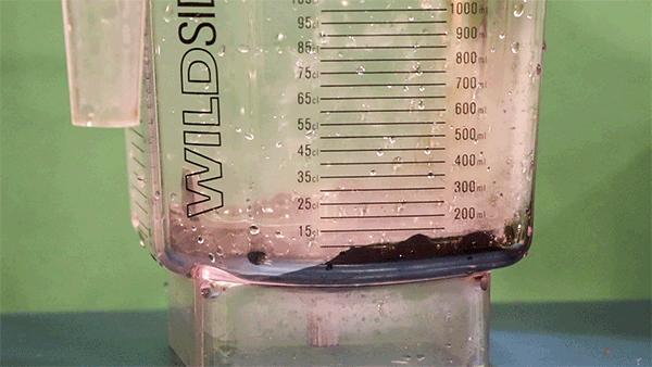 厦门“*力暴**奶茶店”!珍珠都要打碎喝