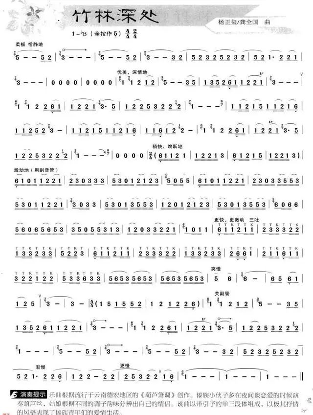 葫芦丝各个调演奏方法,葫芦丝七大名曲演奏