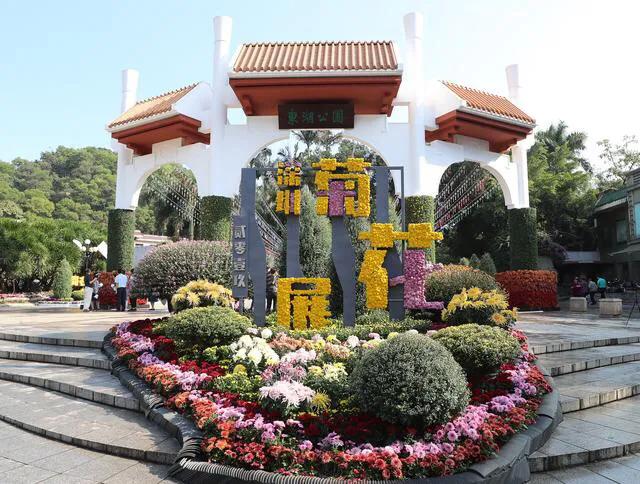 深圳花海公园地址在哪里,深圳中心河公园花海