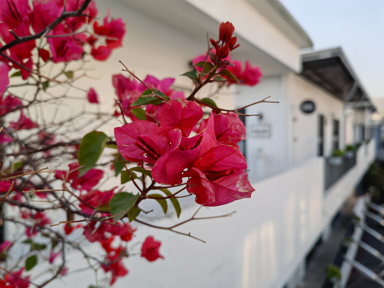 荣耀V40拍照体验：5000万像素大底果然不负众望