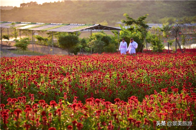 花都区美林湖度假区,花都美林湖风景