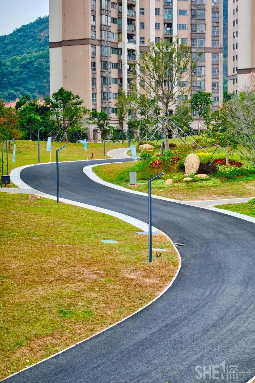 深圳这10条绿道你去过没,深圳十大绿道排行榜