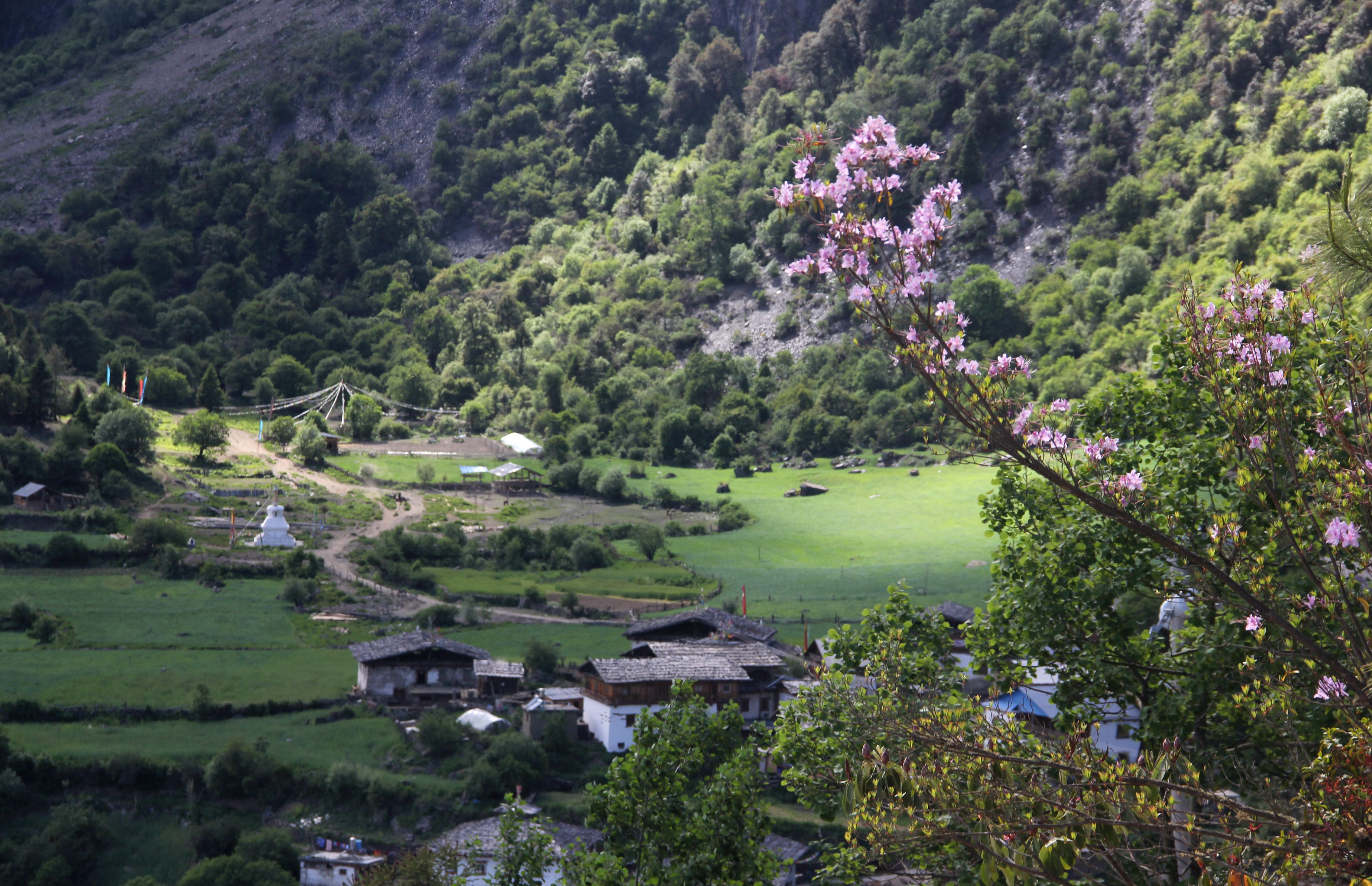 风花雪月一路歌——行走香格里拉散记雪之篇上