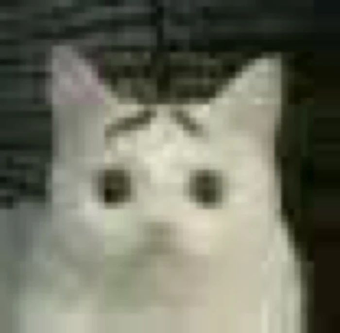 最火的韩妆韩国人根本没听说过,韩国真正好用的韩妆