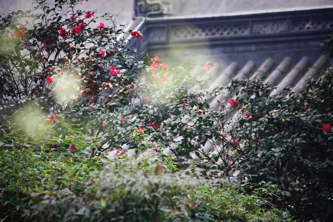 在上海一个月工资两万什么水平,月薪不过3万的看过来