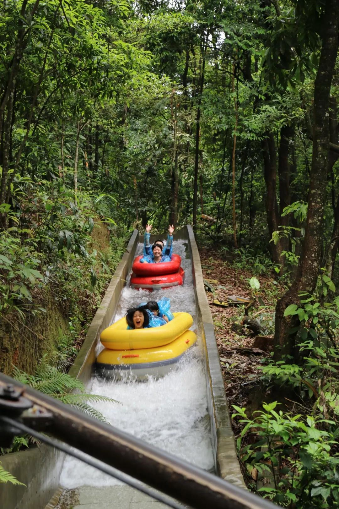 有玩有吃的礼物,有玩有吃的旅游景点