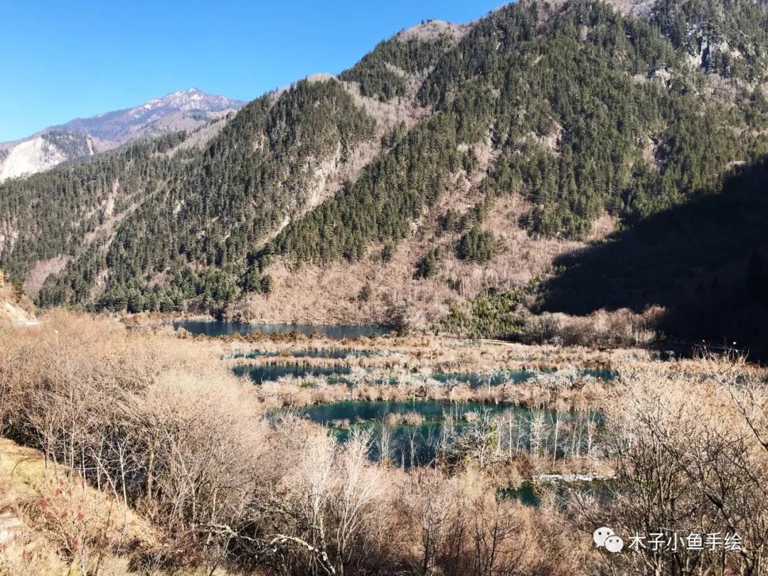 2021九寨沟官方视频,九寨沟跨年夜