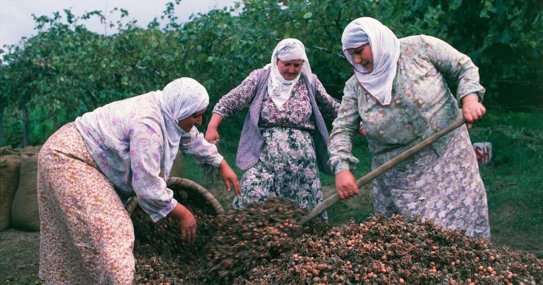 花生腰果哪个好,腰果巴旦木坚果