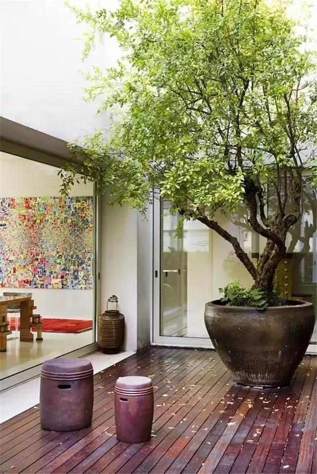 租乡下院子的乡村生活,把生活过成诗的院子