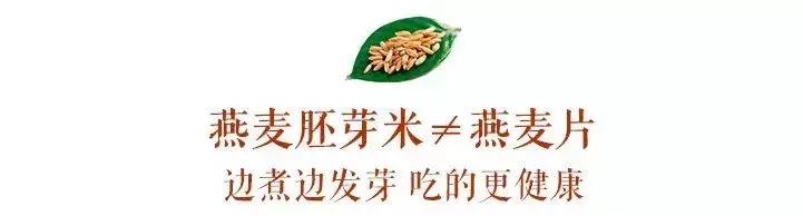 减肥坚持一个月暴瘦,减肥屡败屡战