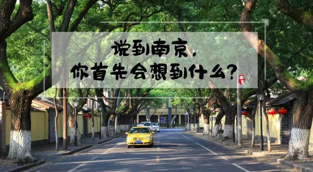 南京旅游必去十处,南京旅游十大必去免费景点排名