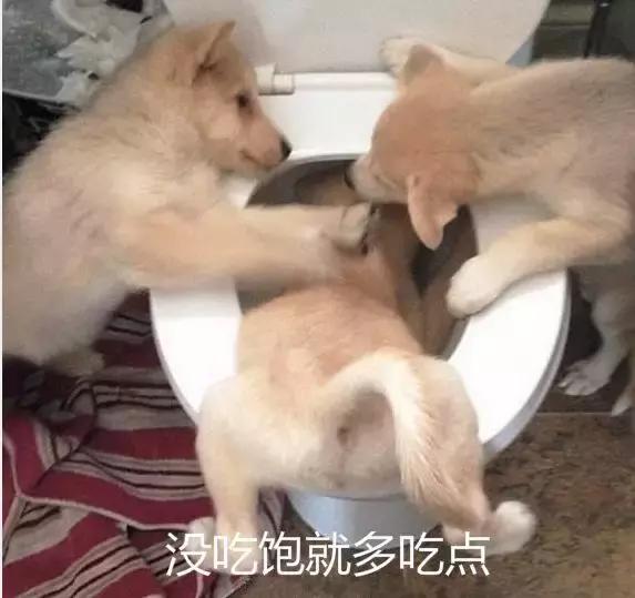 半佛仙人到底有多有钱,半佛仙人有多厉害