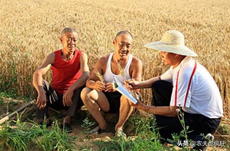 上岸甲鱼莫伸手下山野鸡不能追,上山甲鱼下山鸡不死也得脱层皮