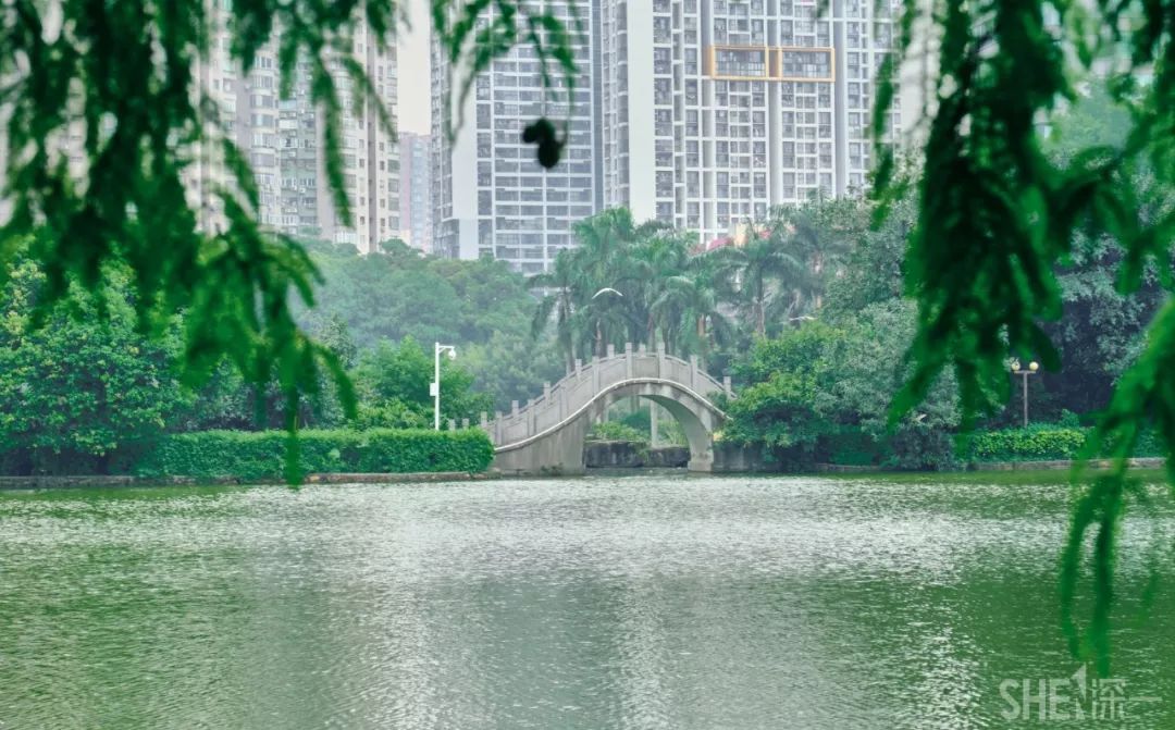 深圳蛇口前世今生,深圳蛇口有怎样的辉煌历史