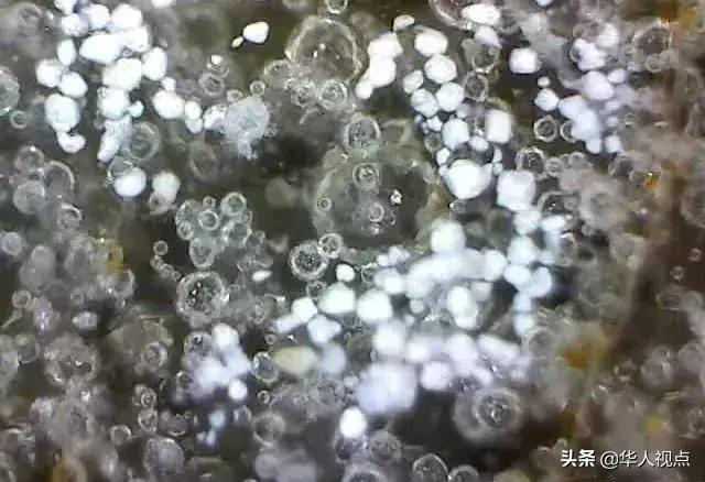 千万别上当是骗局吗,如何判断是不是古陶瓷