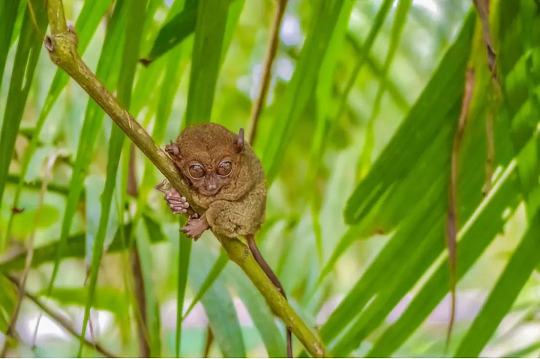 走过很多地方的诗句,走过很多地方原唱