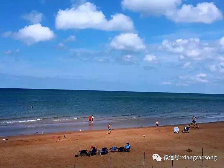 漂洋过海来挖宝,漂洋过海去台湾吃海鲜