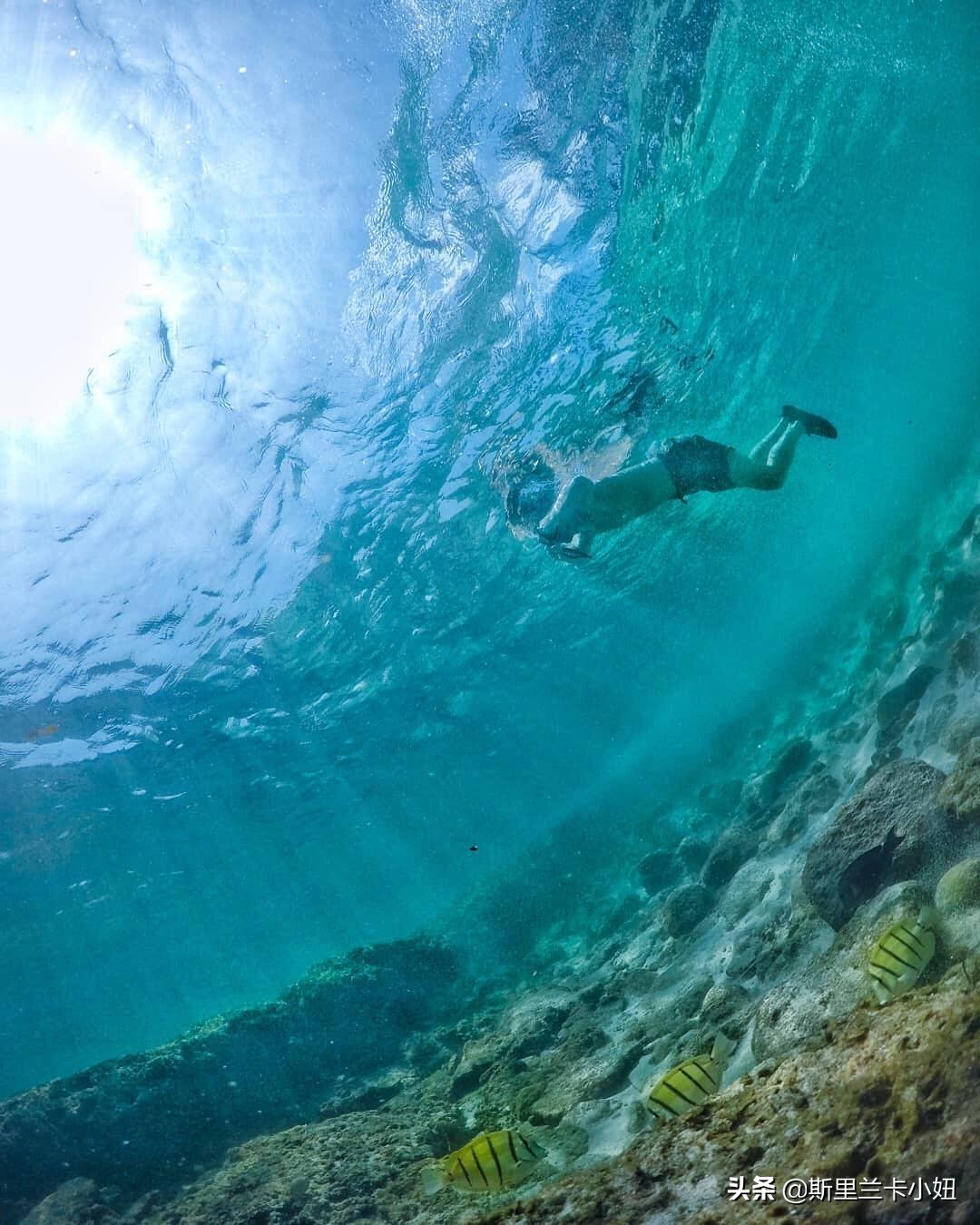 为什么要免签斯里兰卡,为什么一定要免签斯里兰卡