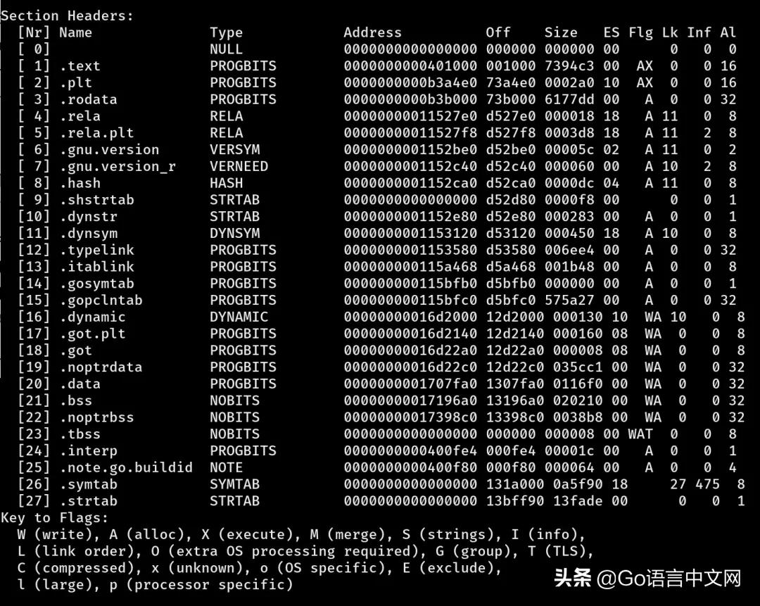 在Golang中使用-w和-s标志