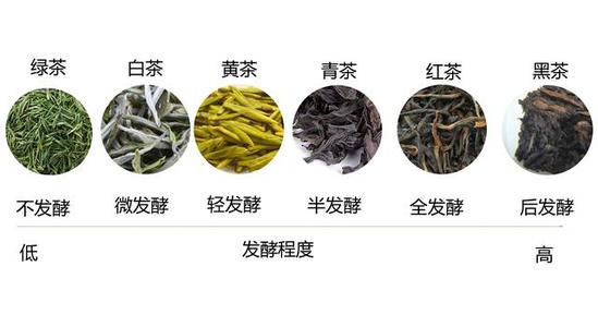 茶叶种类入门知识讲解大全,茶叶知识大全茶叶分类入门