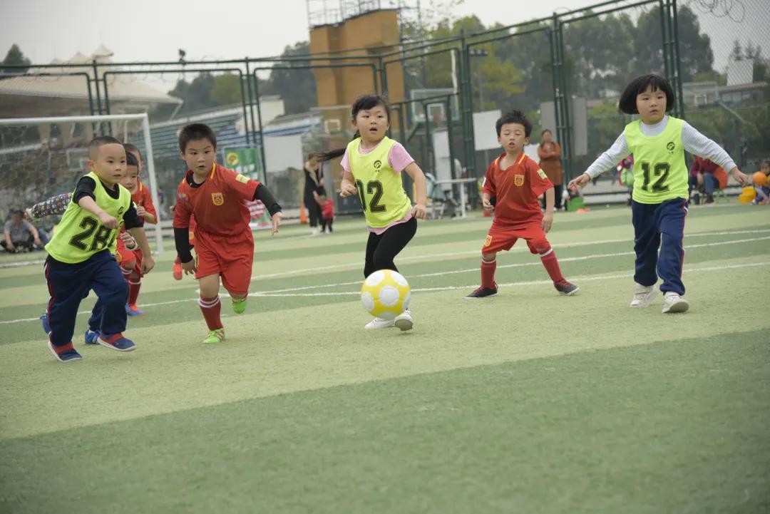 喜报幼儿园被评为省级一类园,获省优质幼儿园喜报