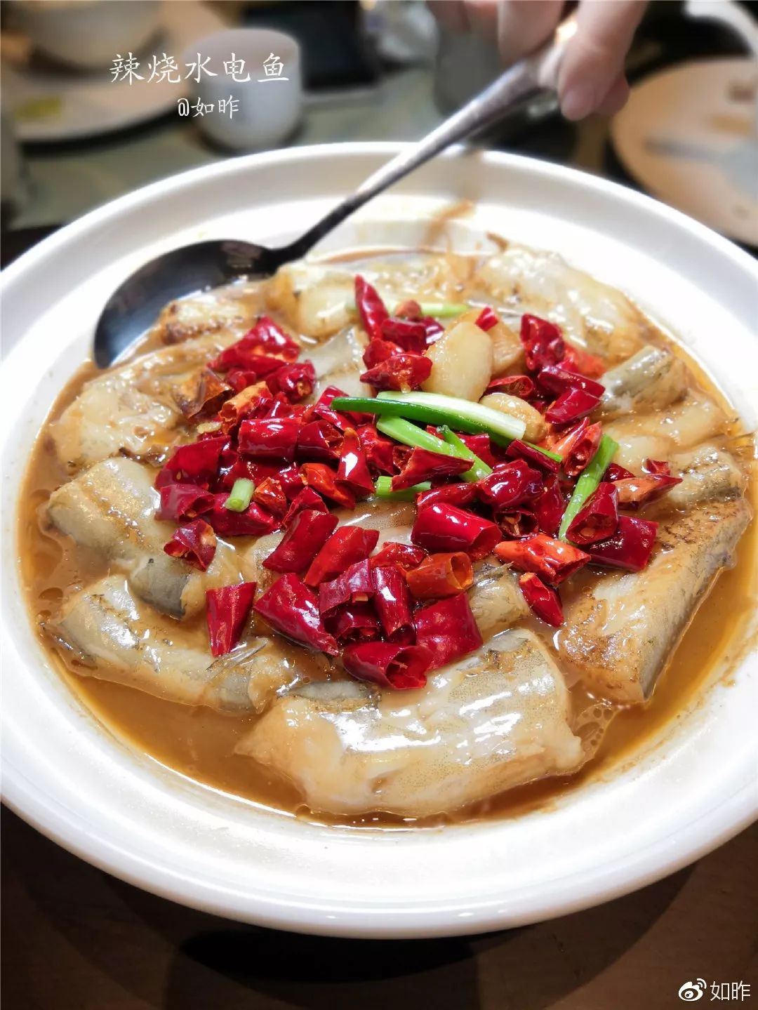 美食大咖私房菜,精选美食推荐让你的味蕾享受盛宴