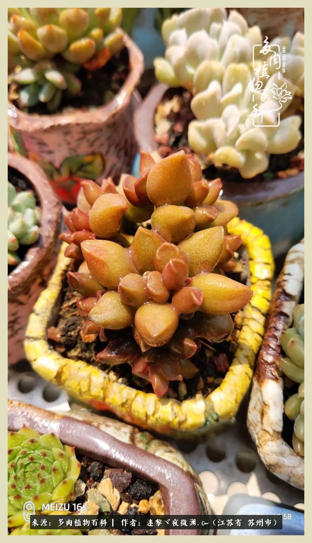 秋尽冬来岁月不居时节如流,岁月不居时节如流水