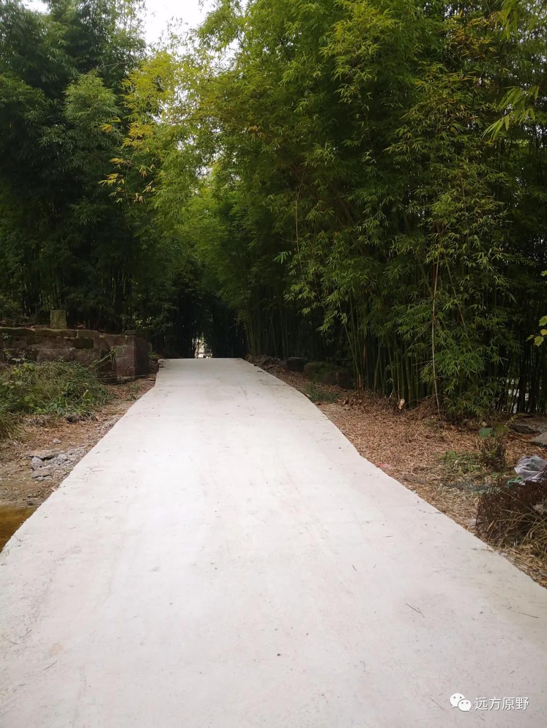 你想要的田园生活在哪里,你所向往的生活是什么