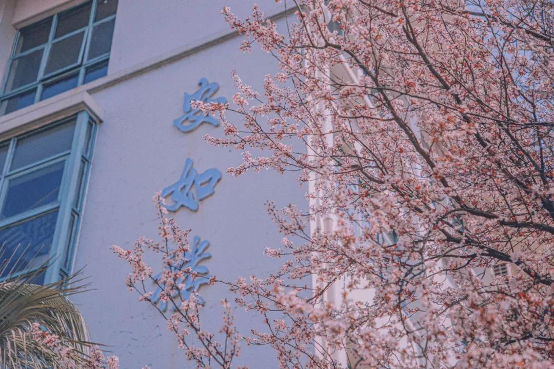 江苏省高校(六十六)苏州大学应用技术学院