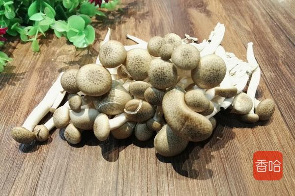 它是女性最佳“暖宫菜”，缓解宫寒，远离姨妈痛睡得香