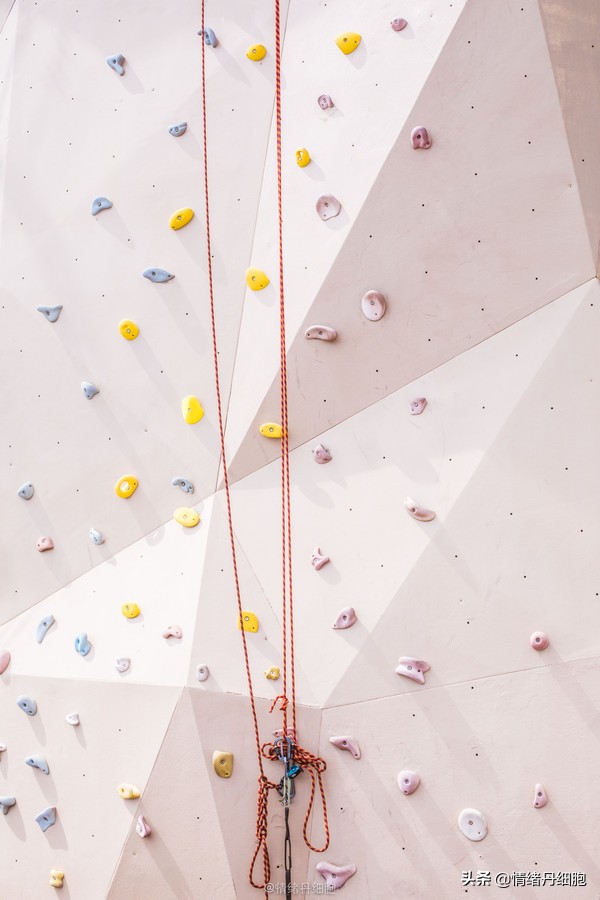 皇家加勒比邮轮量子号新加坡出发,皇家加勒比海洋量子号邮轮之旅