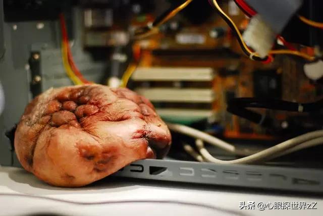 日本妹子设计的*体器人官**电器,有点重口味了吧…