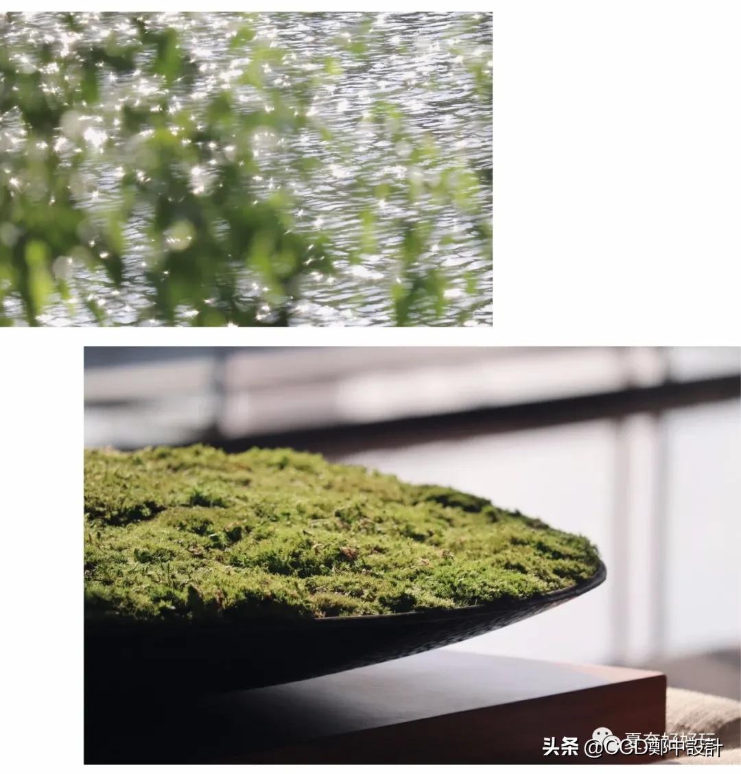 ccd设计的成都哪些酒店,香港ccd设计的酒店