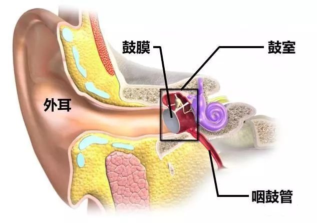坐飞机耳朵堵了怎么快速通气妙招,坐飞机感觉耳朵里面跟堵住了一样