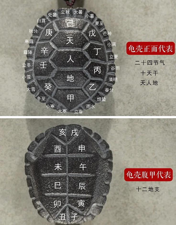 乌龟壳工艺品摆件,乌龟壳摆件叫什么