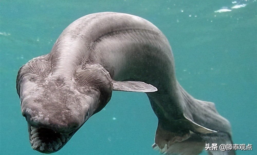 史上最难以置信的海底发现,在海底最深处人类到底发现了什么