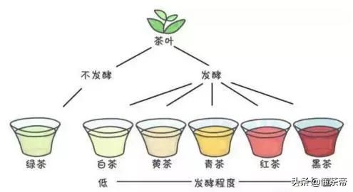 这3种错误喝法特别伤身,喝茶的11种错误