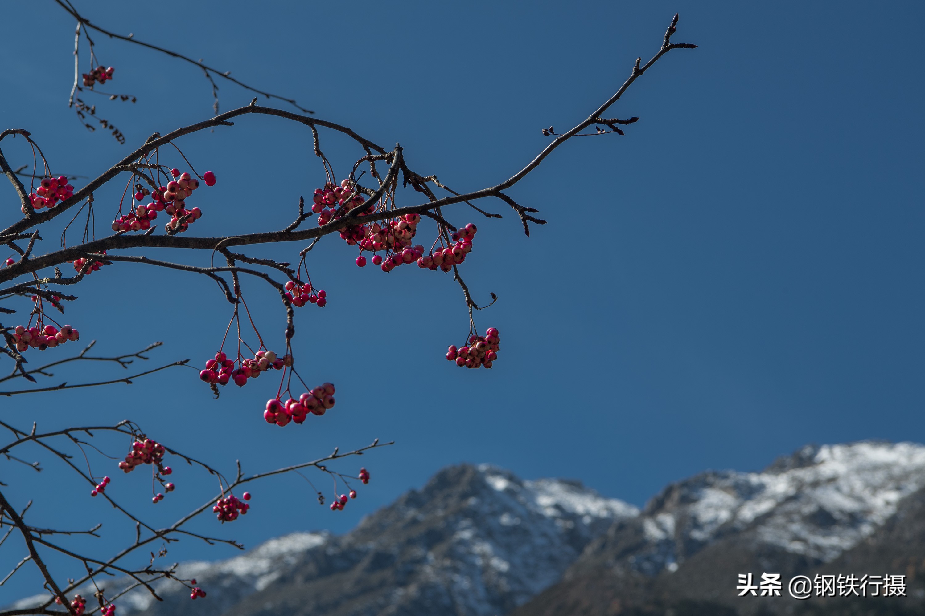 木格措秋景视频,木格措景区秋天风景