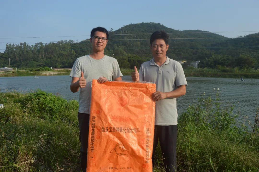 叉尾鮰养殖喂什么,叉尾鮰鱼的自养方法