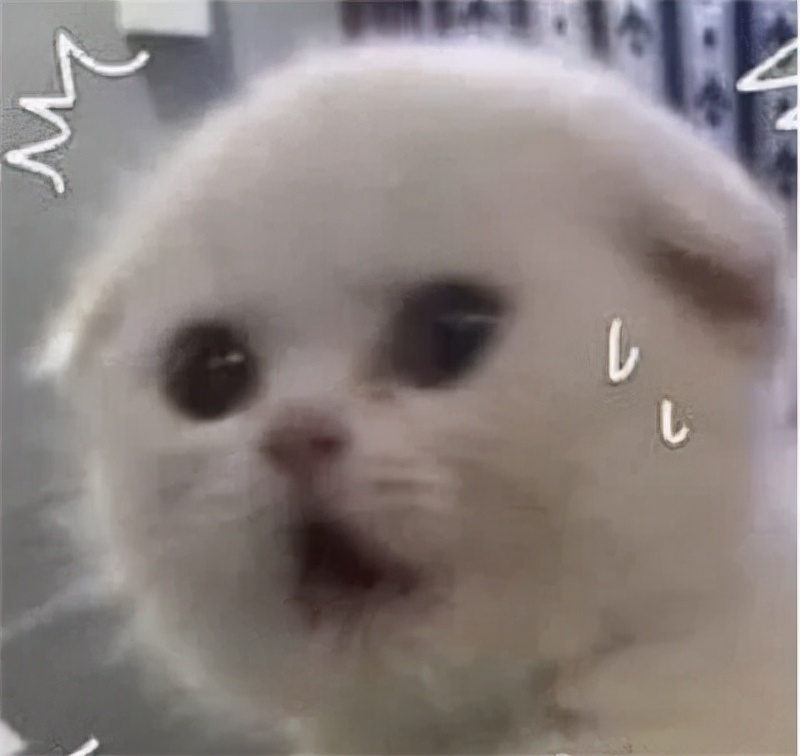 广西过期食品,过期食物对人体伤害