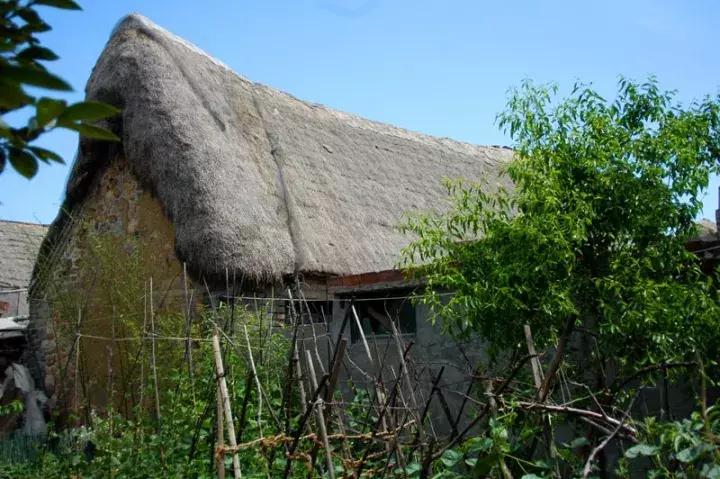 威海五一免费门票景点,威海景点免费开放