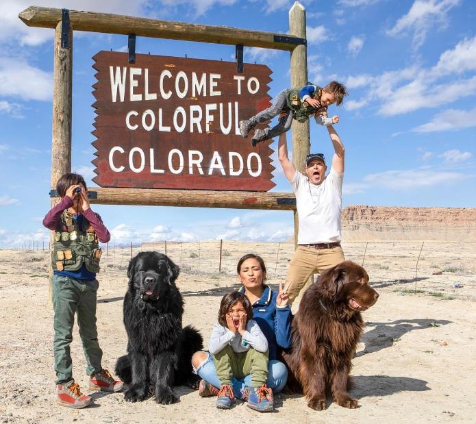 狗狗尾巴动作代表的含义,狗狗的尾巴动作代表的含义