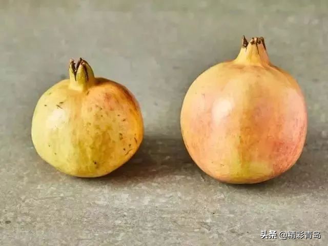 突尼斯软籽石榴真的是很甜很甜,突尼斯软籽石榴口感细腻好吃到爆