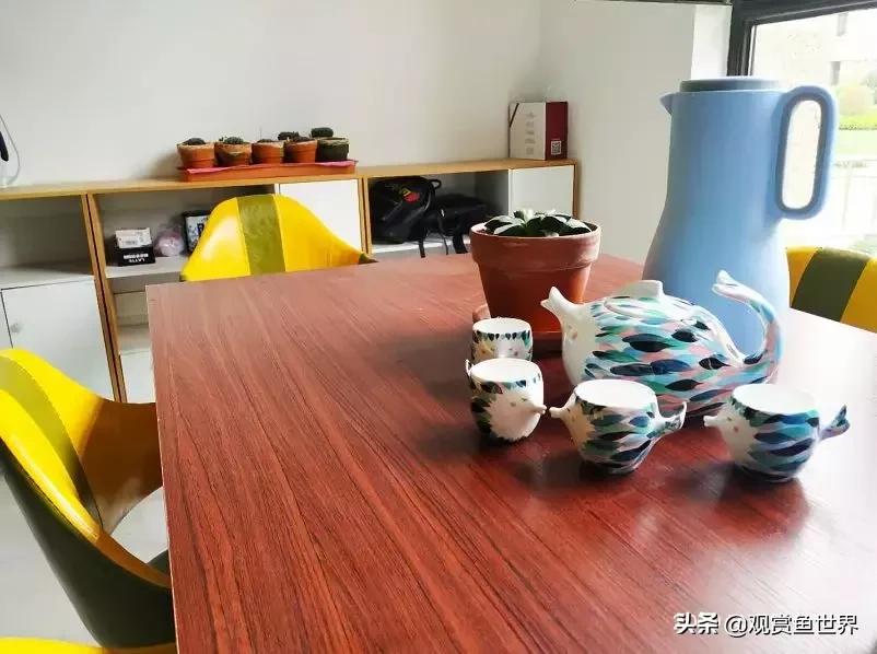 梦想的三湖世界持续建设中……方位:中国天津