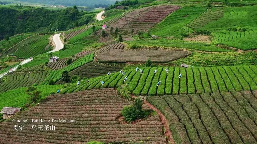 全国最宝藏的省,中国宝藏最多的省份